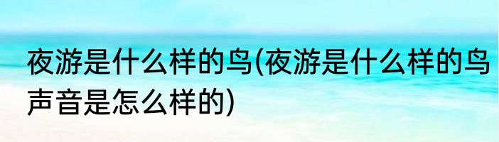 夜游是什么样的鸟(夜游是什么样的鸟声音是怎么样的)