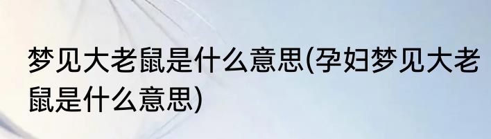 梦见大老鼠是什么意思(孕妇梦见大老鼠是什么意思)