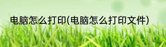 电脑怎么打印(电脑怎么打印文件)