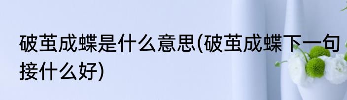 破茧成蝶是什么意思(破茧成蝶下一句接什么好)