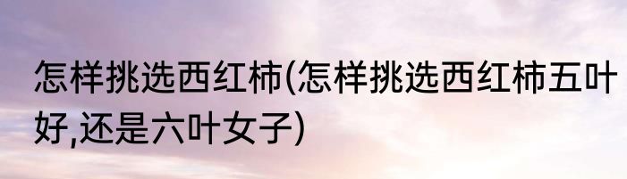 怎样挑选西红柿(怎样挑选西红柿五叶好,还是六叶女子)