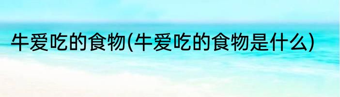 牛爱吃的食物(牛爱吃的食物是什么)