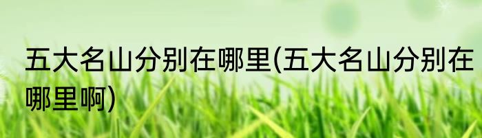 五大名山分别在哪里(五大名山分别在哪里啊)