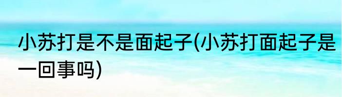 小苏打是不是面起子(小苏打面起子是一回事吗)