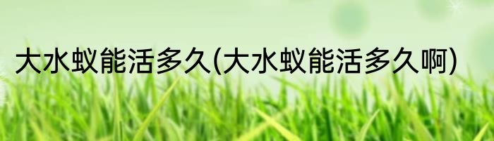 大水蚁能活多久(大水蚁能活多久啊)