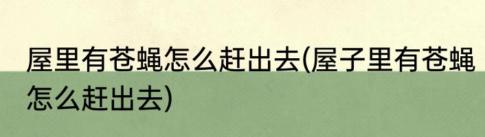 屋里有苍蝇怎么赶出去(屋子里有苍蝇怎么赶出去)