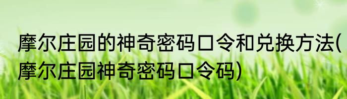 摩尔庄园的神奇密码口令和兑换方法(摩尔庄园神奇密码口令码)