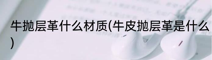 牛抛层革什么材质(牛皮抛层革是什么)