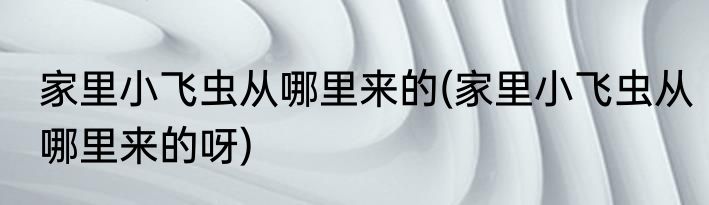 家里小飞虫从哪里来的(家里小飞虫从哪里来的呀)