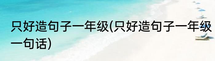 只好造句子一年级(只好造句子一年级一句话)