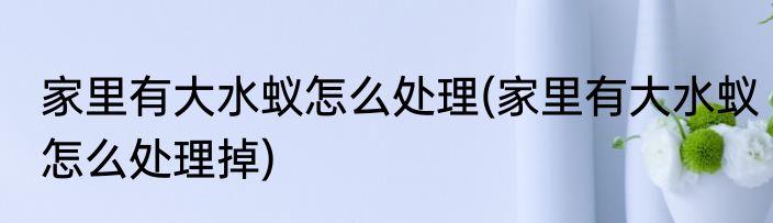 家里有大水蚁怎么处理(家里有大水蚁怎么处理掉)