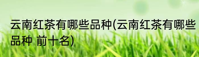 云南红茶有哪些品种(云南红茶有哪些品种 前十名)