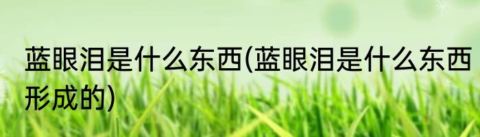 蓝眼泪是什么东西(蓝眼泪是什么东西形成的)