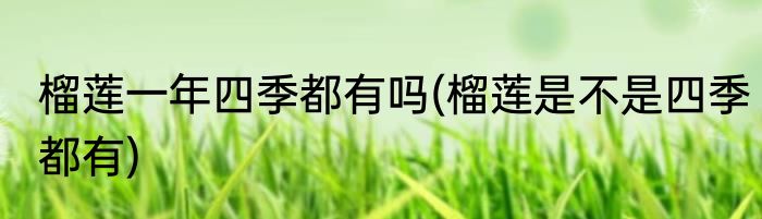 榴莲一年四季都有吗(榴莲是不是四季都有)