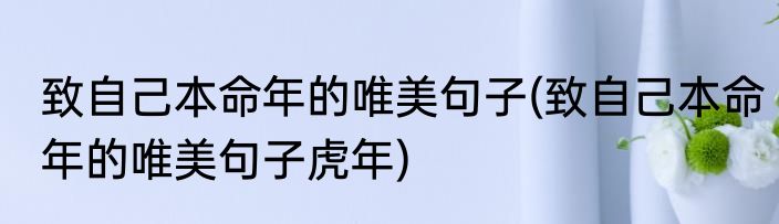 致自己本命年的唯美句子(致自己本命年的唯美句子虎年)