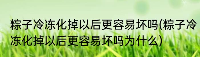 粽子冷冻化掉以后更容易坏吗(粽子冷冻化掉以后更容易坏吗为什么)