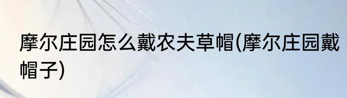 摩尔庄园怎么戴农夫草帽(摩尔庄园戴帽子)