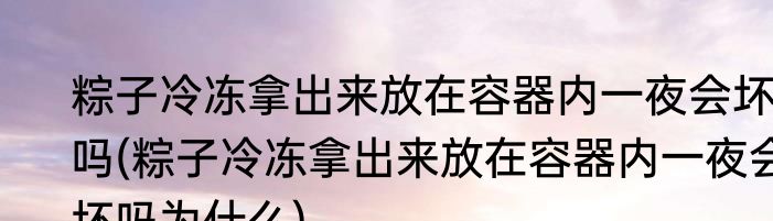 粽子冷冻拿出来放在容器内一夜会坏吗(粽子冷冻拿出来放在容器内一夜会坏吗为什么)