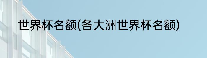 世界杯名额(各大洲世界杯名额)