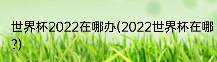 世界杯2022在哪办(2022世界杯在哪?)