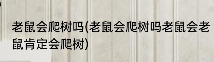 老鼠会爬树吗(老鼠会爬树吗老鼠会老鼠肯定会爬树)