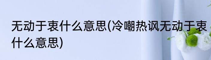 无动于衷什么意思(冷嘲热讽无动于衷什么意思)