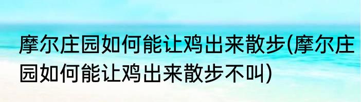 摩尔庄园如何能让鸡出来散步(摩尔庄园如何能让鸡出来散步不叫)