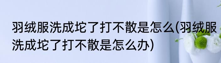 羽绒服洗成坨了打不散是怎么(羽绒服洗成坨了打不散是怎么办)
