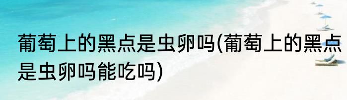 葡萄上的黑点是虫卵吗(葡萄上的黑点是虫卵吗能吃吗)
