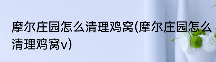 摩尔庄园怎么清理鸡窝(摩尔庄园怎么清理鸡窝v)