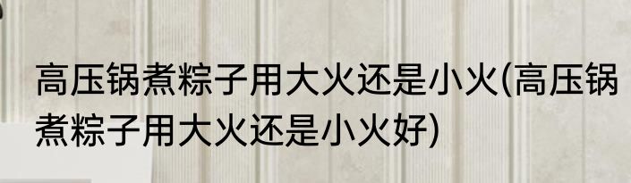 高压锅煮粽子用大火还是小火(高压锅煮粽子用大火还是小火好)