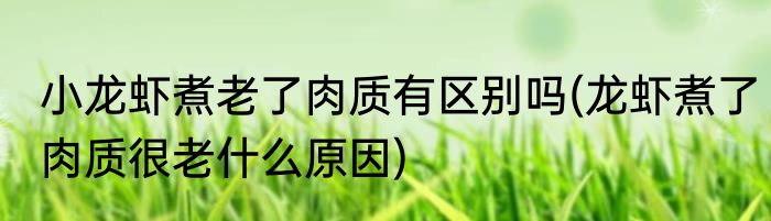 小龙虾煮老了肉质有区别吗(龙虾煮了肉质很老什么原因)