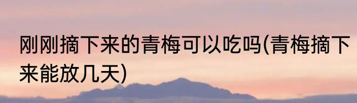 刚刚摘下来的青梅可以吃吗(青梅摘下来能放几天)