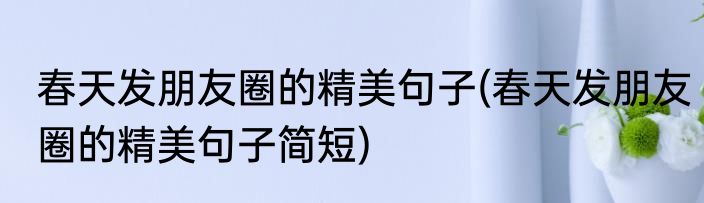春天发朋友圈的精美句子(春天发朋友圈的精美句子简短)