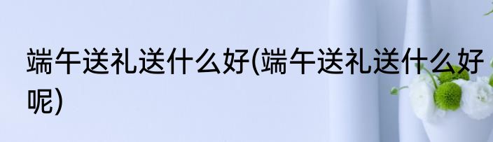 端午送礼送什么好(端午送礼送什么好呢)