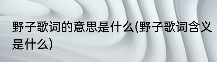 野子歌词的意思是什么(野子歌词含义是什么)