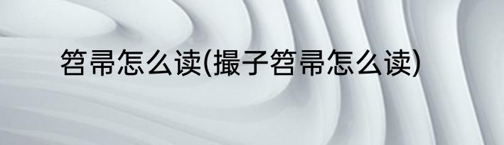 笤帚怎么读(撮子笤帚怎么读)