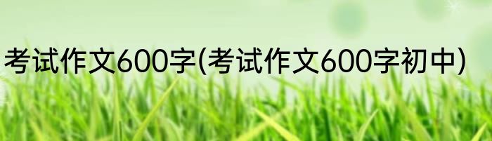 考试作文600字(考试作文600字初中)
