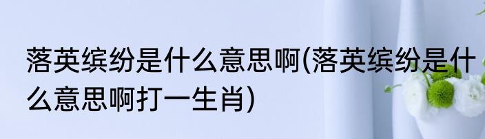 落英缤纷是什么意思啊(落英缤纷是什么意思啊打一生肖)