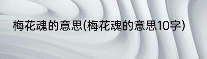 梅花魂的意思(梅花魂的意思10字)
