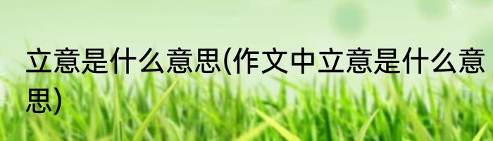 立意是什么意思(作文中立意是什么意思)