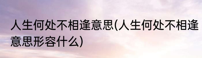 人生何处不相逢意思(人生何处不相逢意思形容什么)