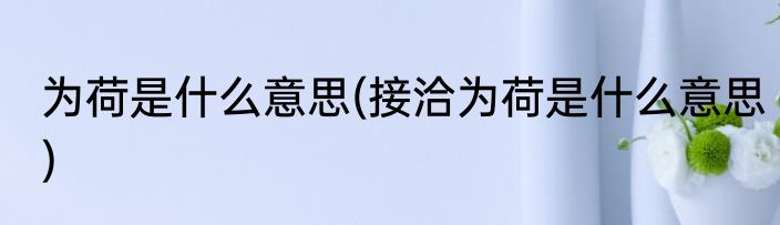 为荷是什么意思(接洽为荷是什么意思)