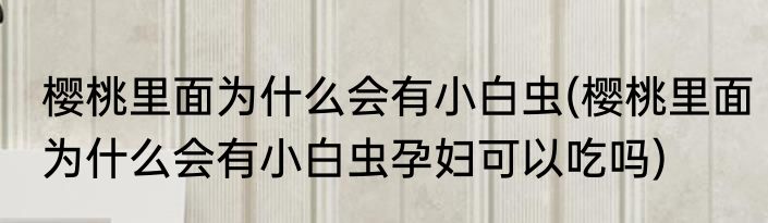 樱桃里面为什么会有小白虫(樱桃里面为什么会有小白虫孕妇可以吃吗)