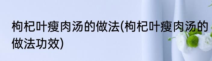 枸杞叶瘦肉汤的做法(枸杞叶瘦肉汤的做法功效)