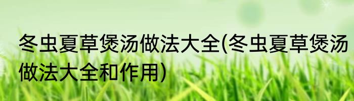 冬虫夏草煲汤做法大全(冬虫夏草煲汤做法大全和作用)
