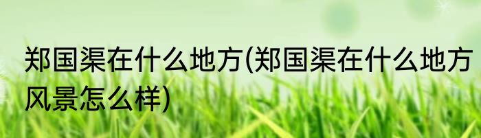 郑国渠在什么地方(郑国渠在什么地方风景怎么样)