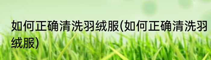 如何正确清洗羽绒服(如何正确清洗羽绒服)