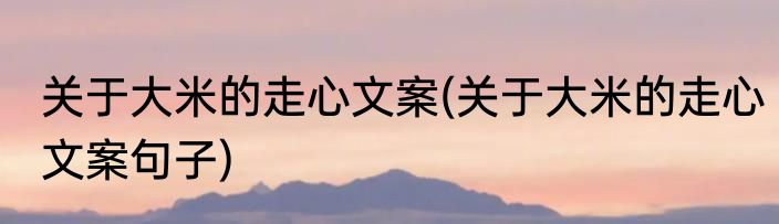 关于大米的走心文案(关于大米的走心文案句子)