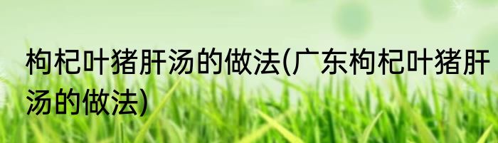 枸杞叶猪肝汤的做法(广东枸杞叶猪肝汤的做法)